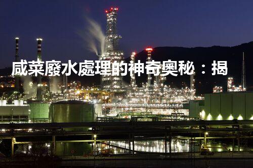 咸菜廢水處理的神奇奧秘：揭秘高效凈化新技術(shù)！